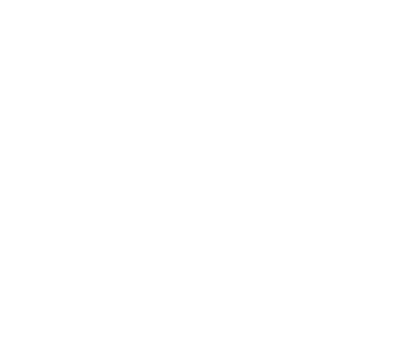Fistag Treuhand AG Wahlen